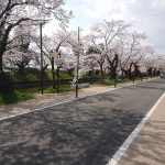 鶴岡市家中新町　土地 画像7